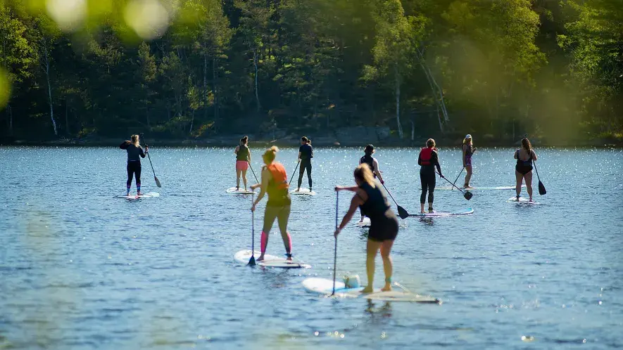 People paddle boarding at a lake in West Sweden